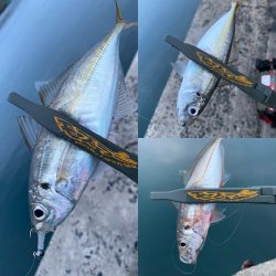 釣れないけど楽しい時間