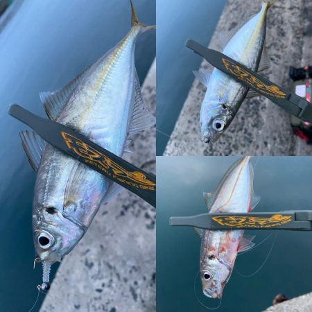 釣れないけど楽しい時間