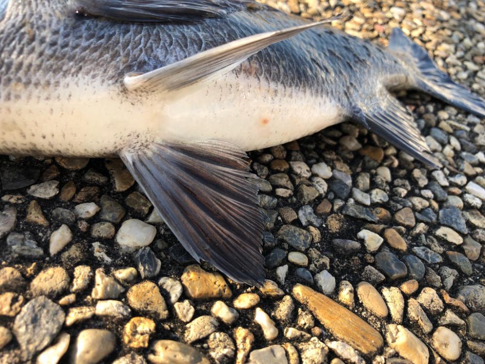 アタリが多く楽しめました