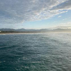 今度はヒラメ!ジャックアイグロッキーが止まらない!