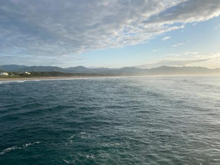 今度はヒラメ!ジャックアイグロッキーが止まらない!