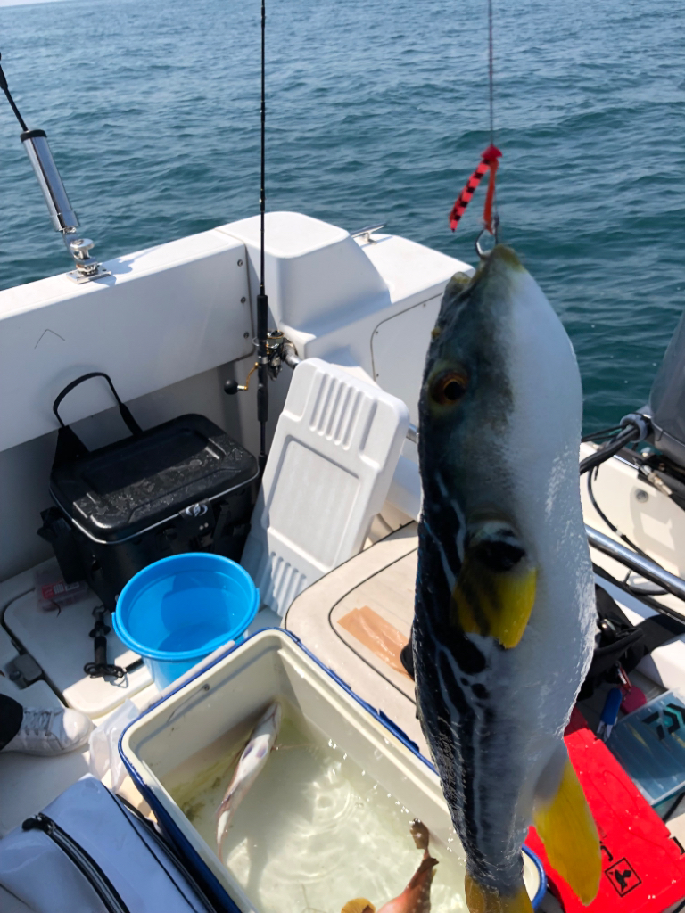 アコウとサバフグ