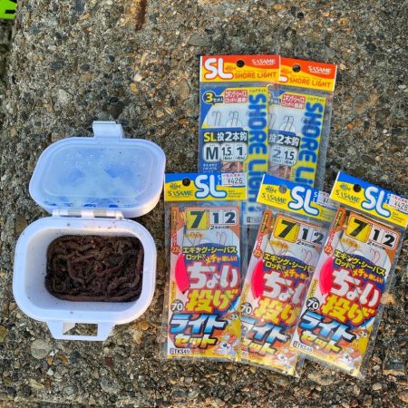 ちょい投げキス釣り