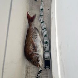 今年初のマイボート釣行