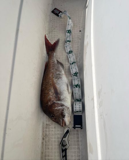 今年初のマイボート釣行