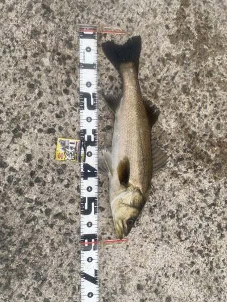 狙いは潮位の高い午前中