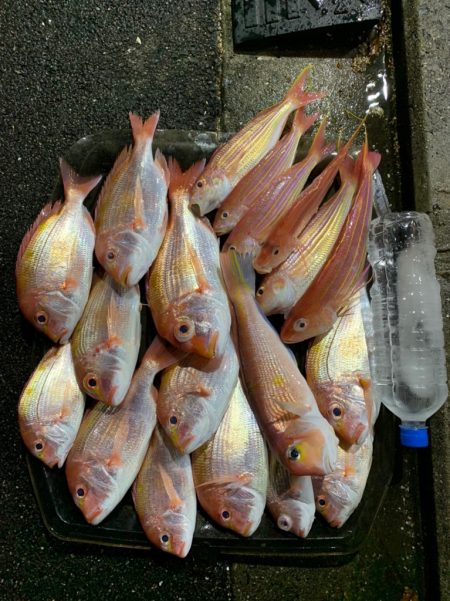 マイボートでアマダイ狙い