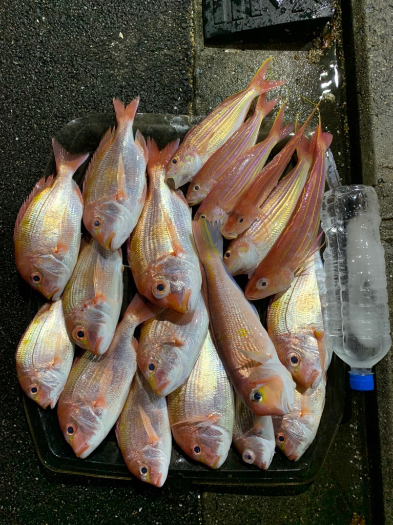 マイボートでアマダイ狙い