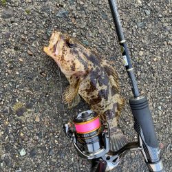 ファーストインプレッション