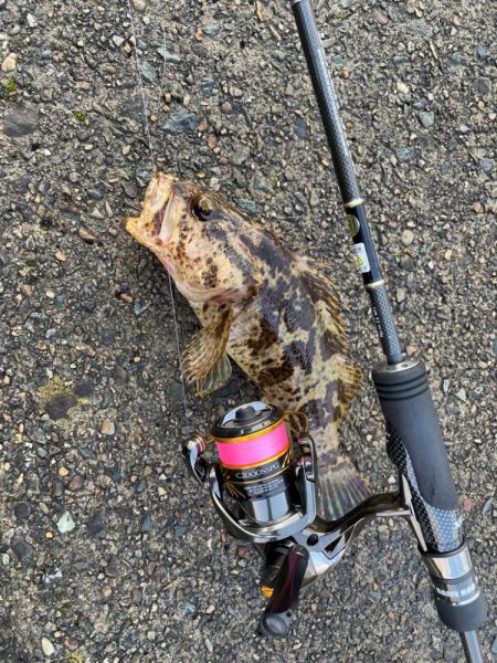 ファーストインプレッション