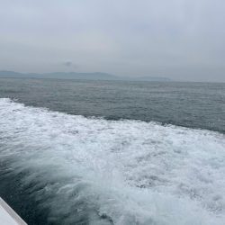 明石沖タコ釣り