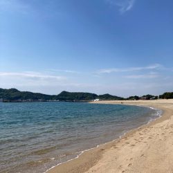 今シーズンファーストキス