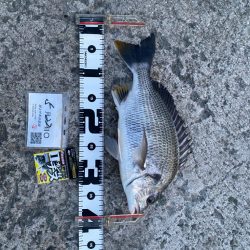 早い時間帯で釣る予定で出発