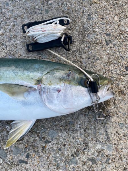 ショアジギング