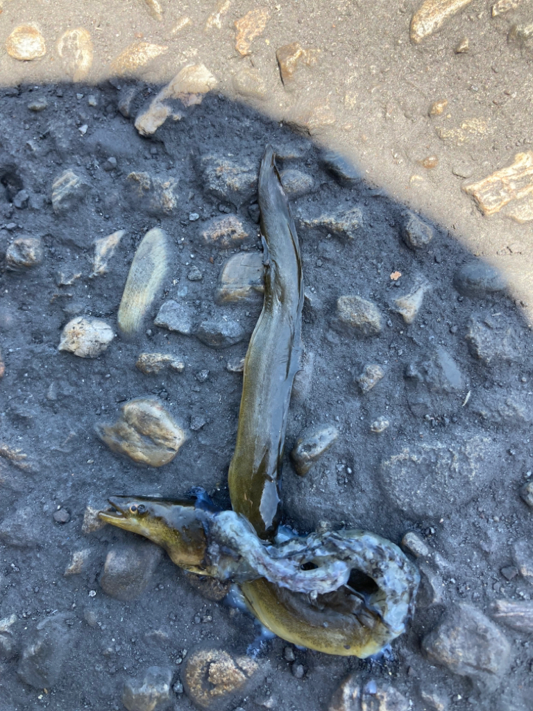 ⭐︎新規開拓へ