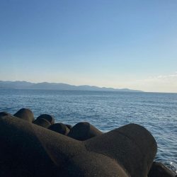 ジャックアイグロッキーで自己記録更新の大真鯛！