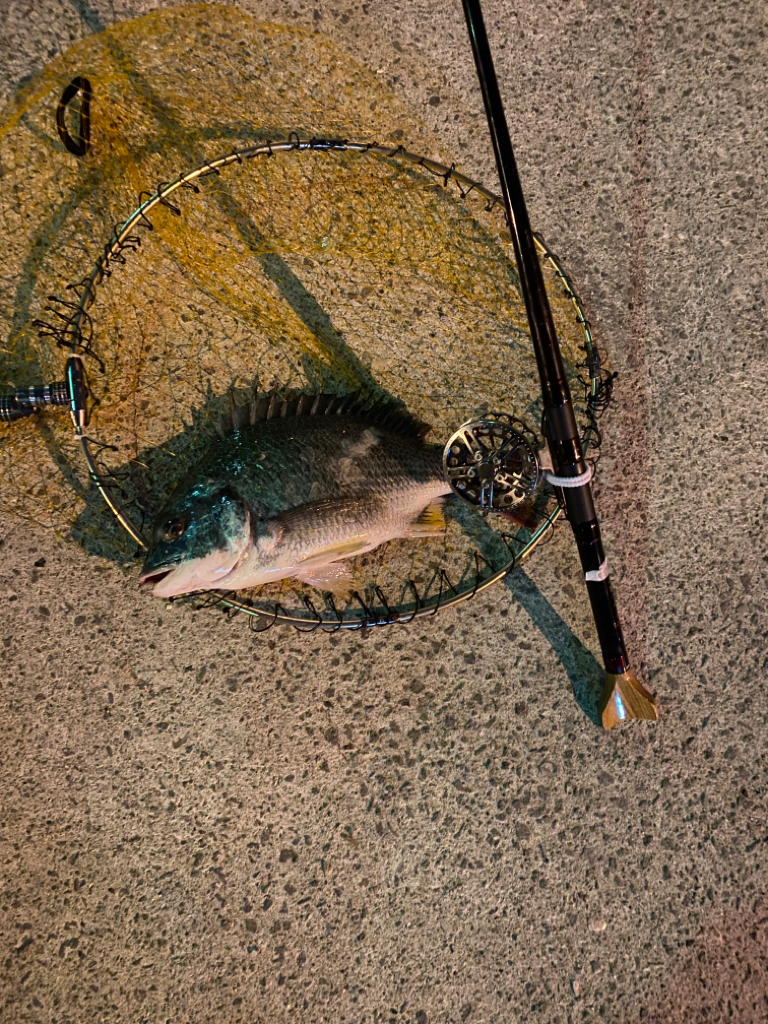 ヘチってきました