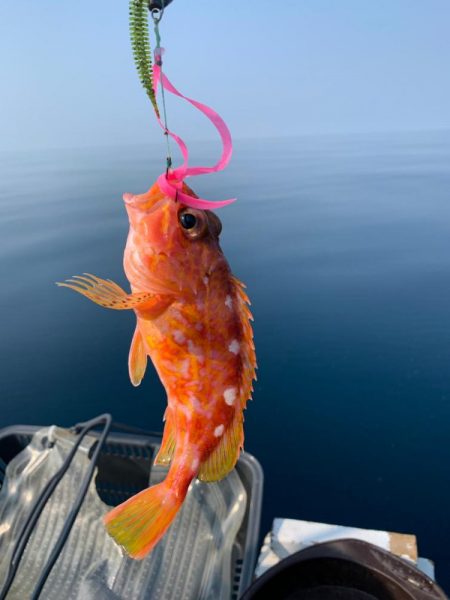 マイボートで丹後沖でジギング