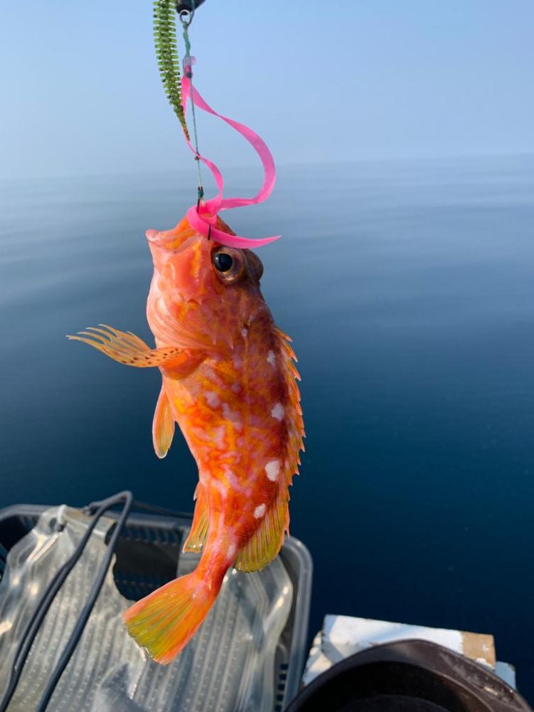 マイボートで丹後沖でジギング