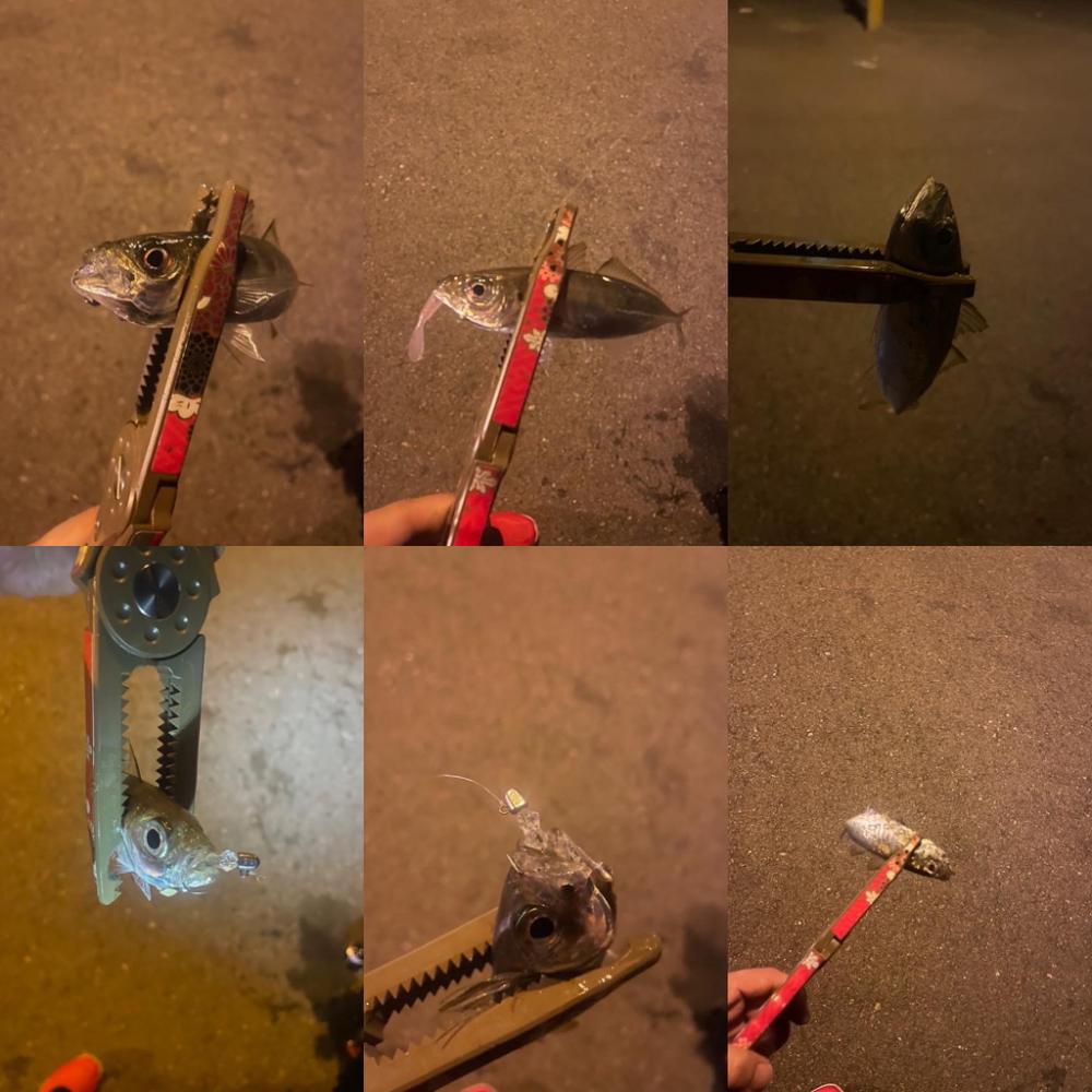 大分県別府遠征