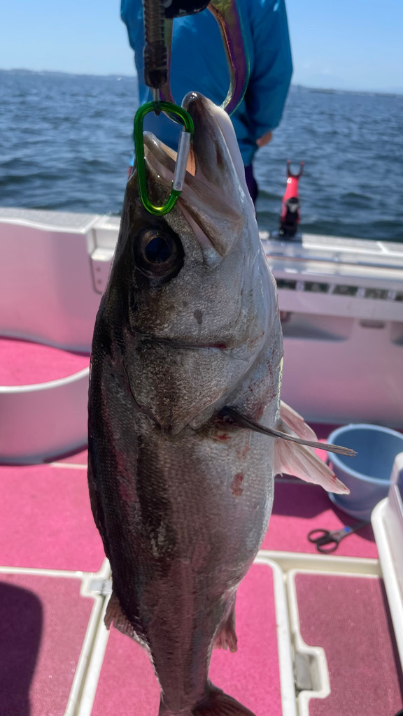 おニューロッドの鱗付け完了w