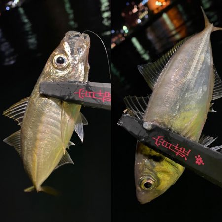 宵姫AJカスタムのバランスの良さ