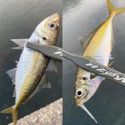 パターンの見つけ方