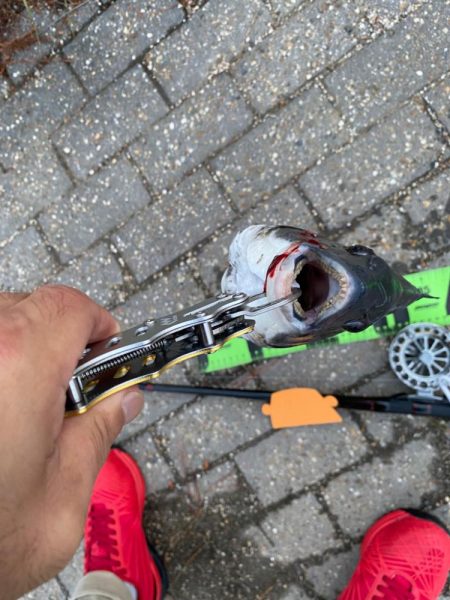 ヘチってきました