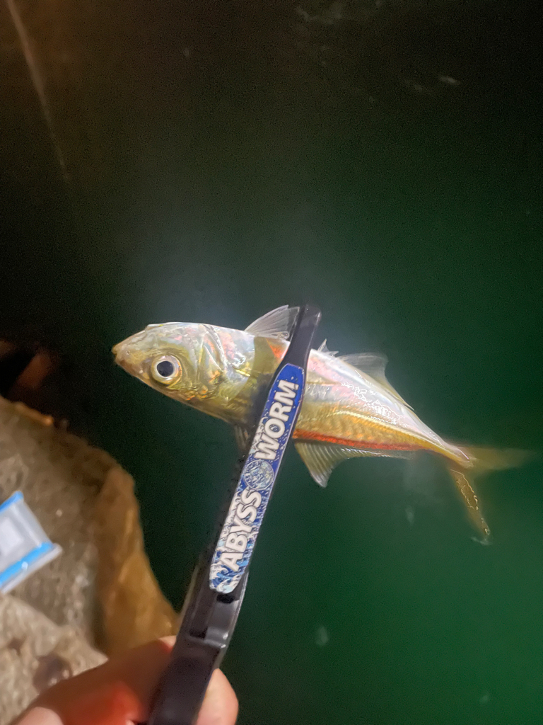 雨が降ったら終了