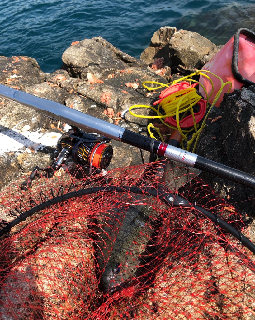 沖磯でグレフカセ釣り