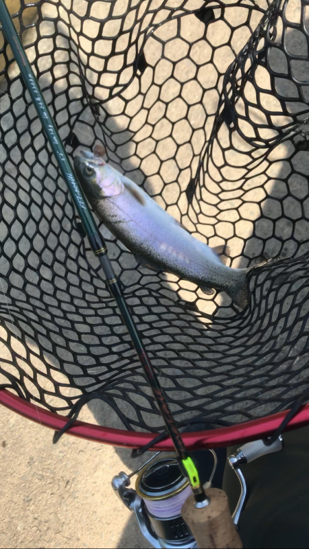 熱々エリアトラウト！