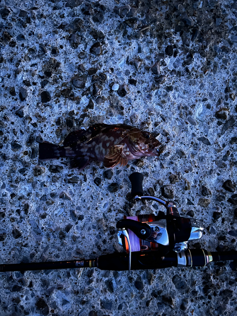 季節の変わり目