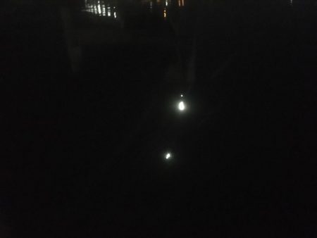 バチ抜け釣行  2