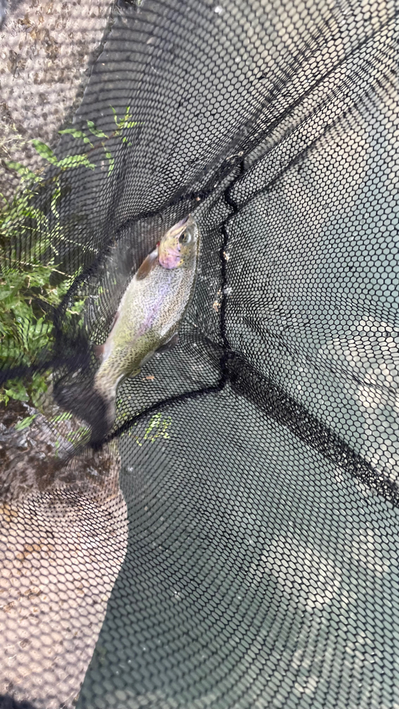 まだまだ経験不足