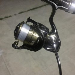 小メバルの楽園