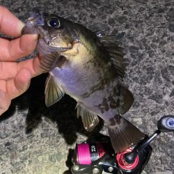 メバリングGW第二弾