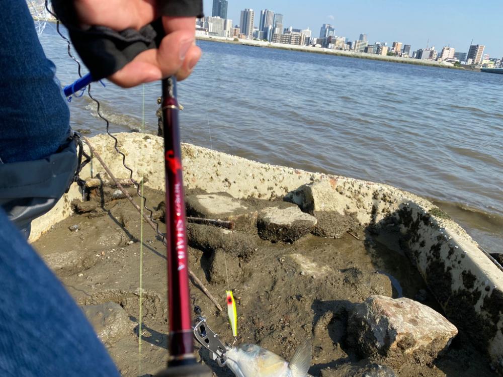 満月後の昼間は1番釣れない事を証明する