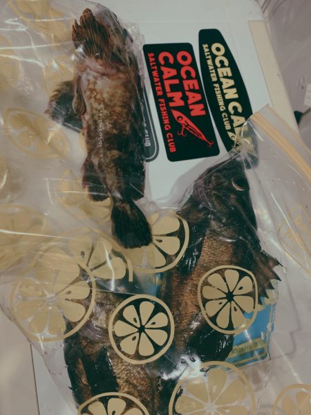 フロートゲーム