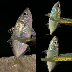 パターンの見つけ方