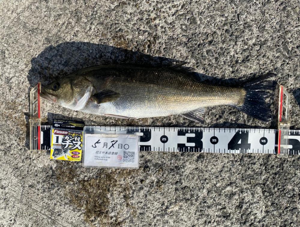 魚が浮いてもタモに入るまで　DAY2