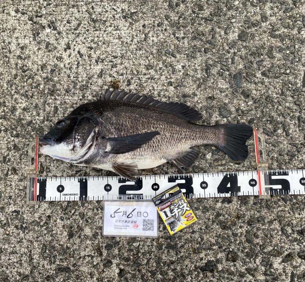 ウェアをどれにするか?迷うシーズン