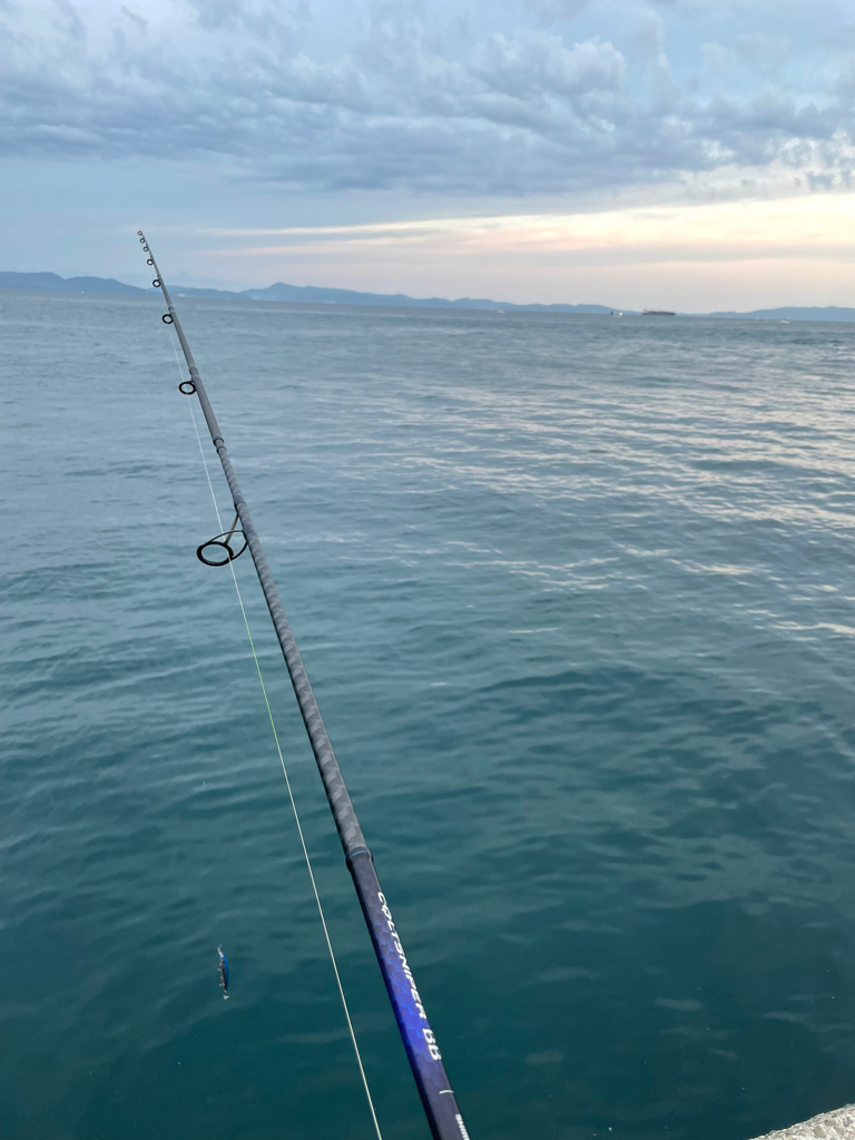 初めてのカレイ