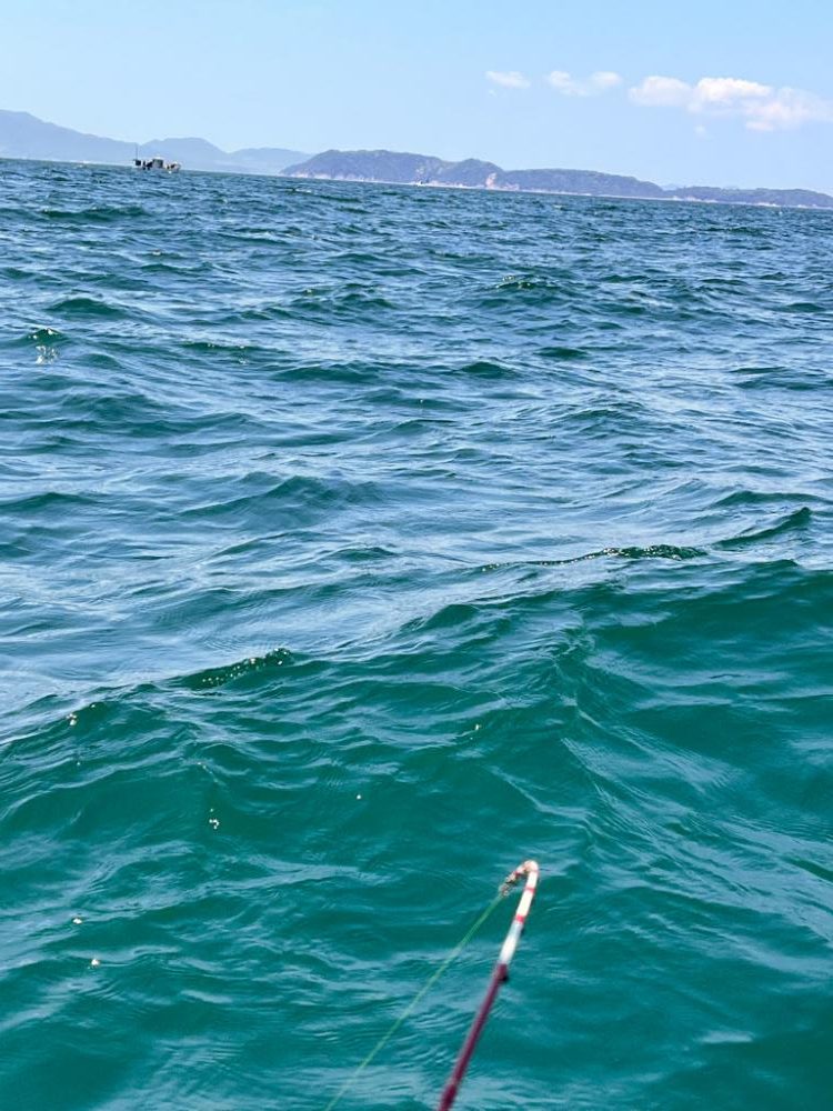 ゴールデン五目便