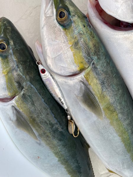 明石沖ジギング