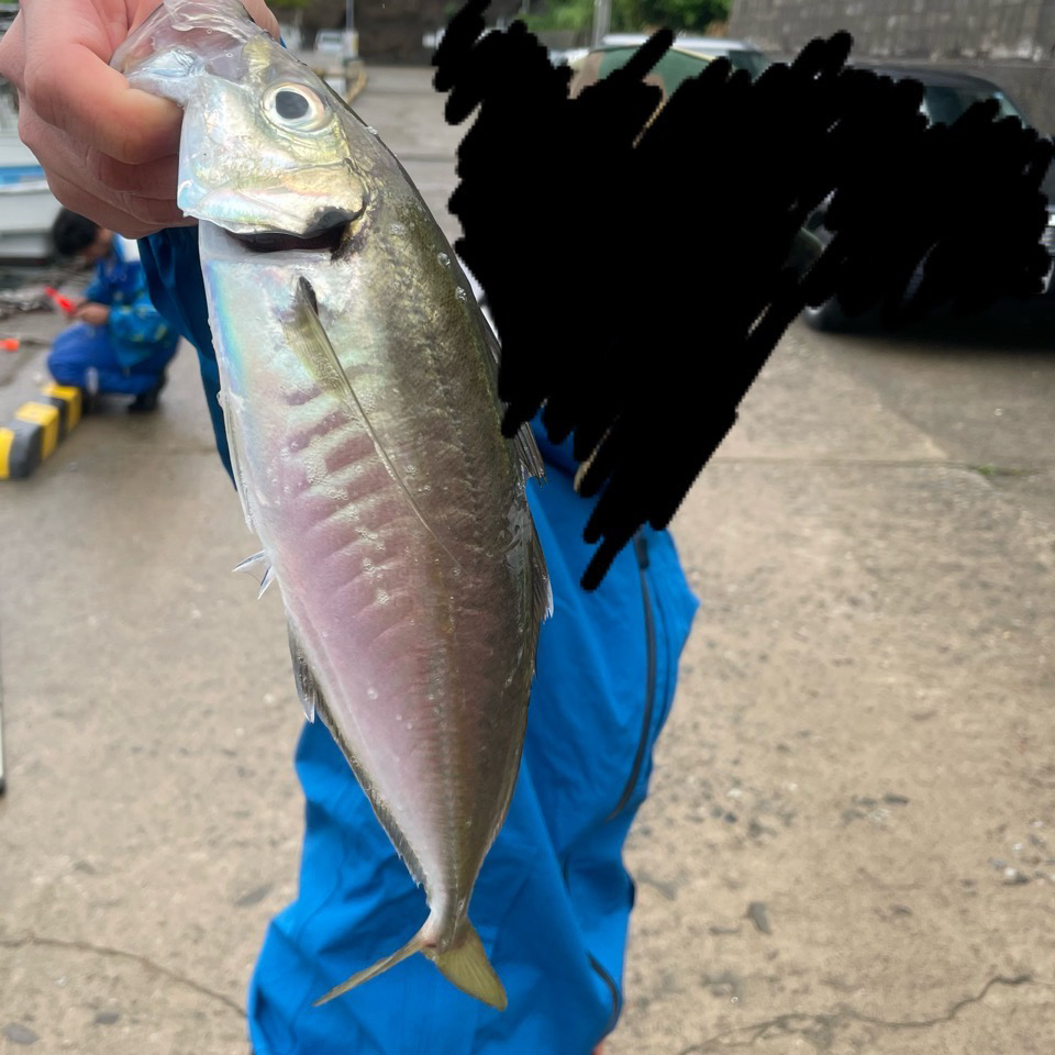 尺アジ　サビキ釣り