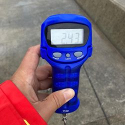 今シーズン初アオリ!記録更新!