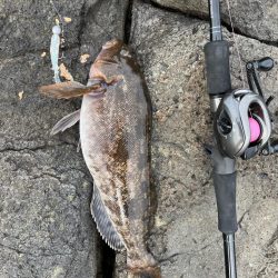 本命は不発でも狙い通りの一尾！