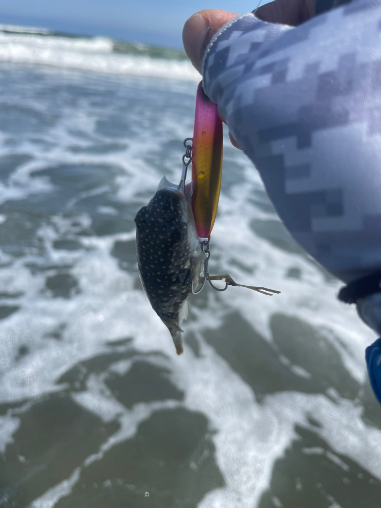 初の宮崎は大負け