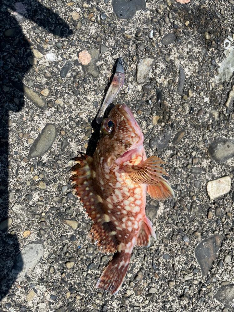 とりあえず一杯