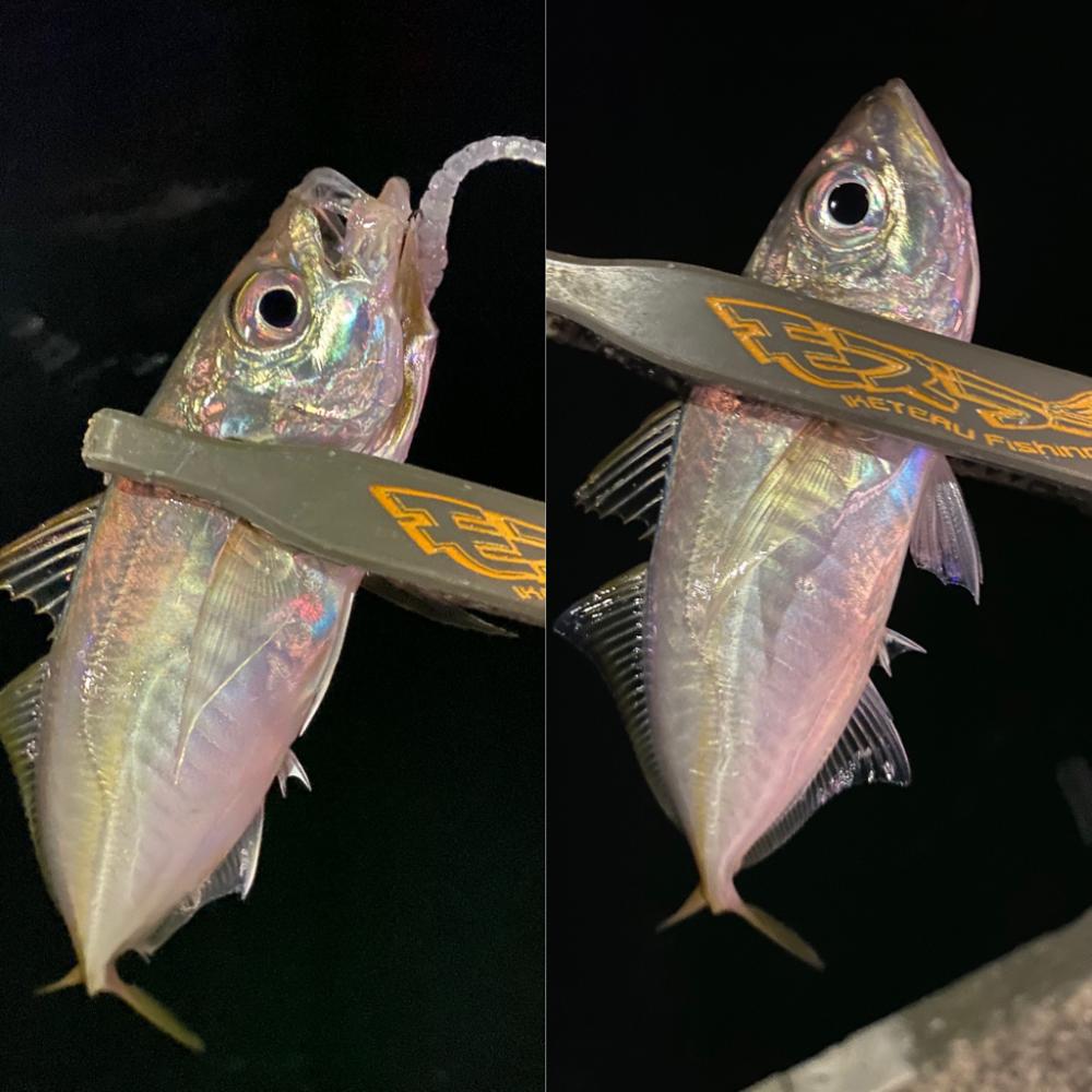 沈下速度は、重要!